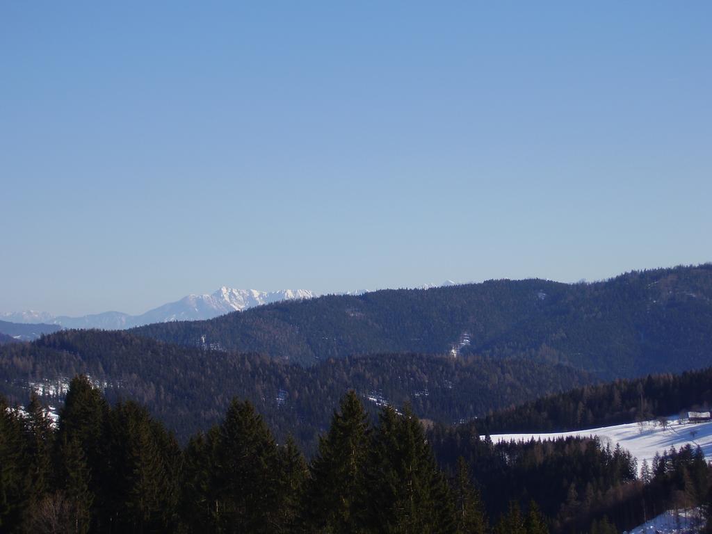 Surtmannhof Hotel Sirnitz Bagian luar foto