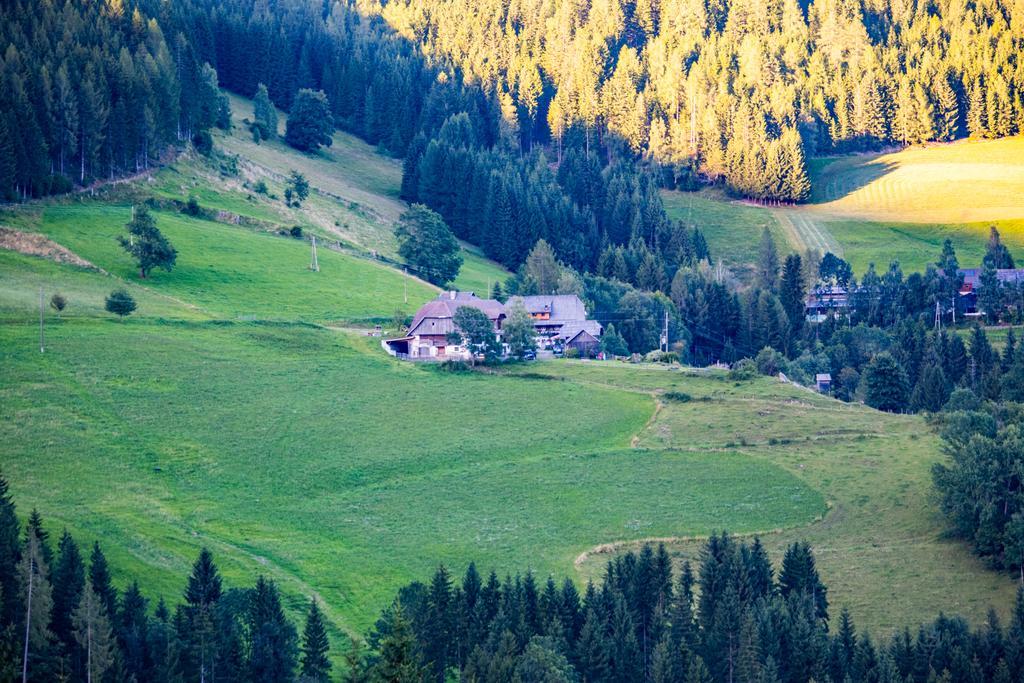 Surtmannhof Hotel Sirnitz Bagian luar foto